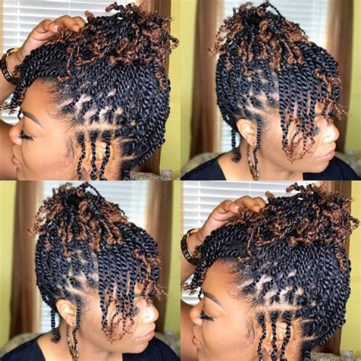 2 Strand Twist Styles for Natural Hair: A Comprehensive Guide