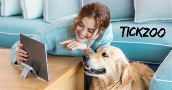 Discover the Wonders of Tickzoo: A Comprehensive Guide