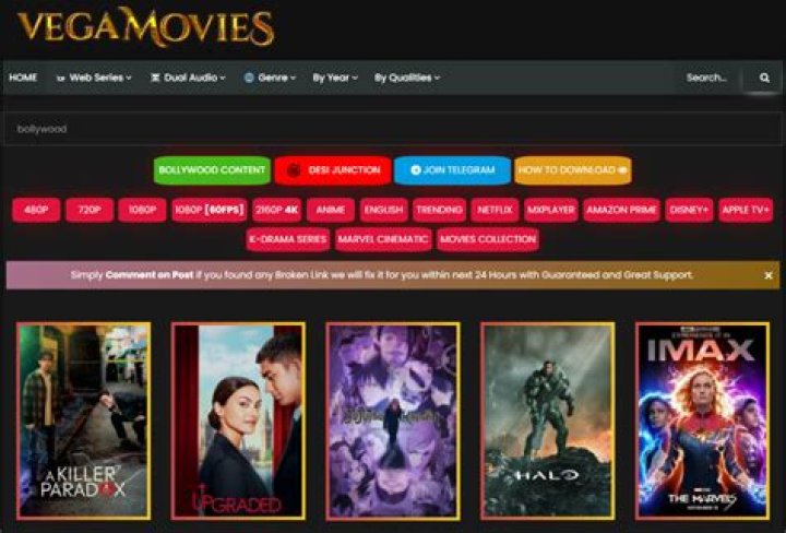 Stream It or Download It: Your Ultimate Guide to Vegamovies Download Movies