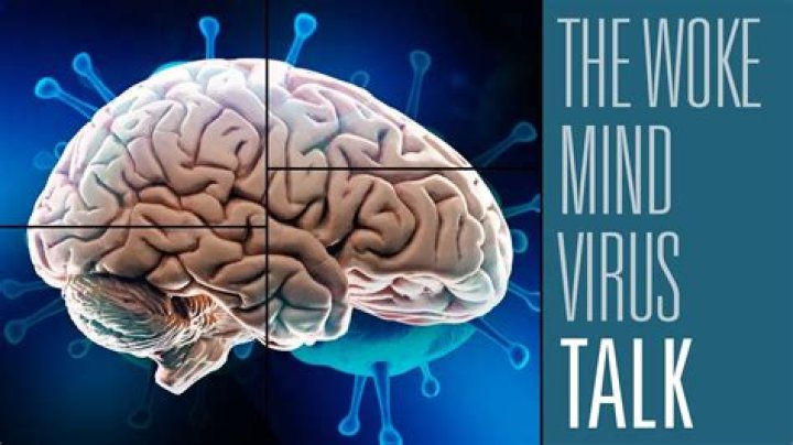 Understanding the Woke Mind Virus: Meaning and Implications in English